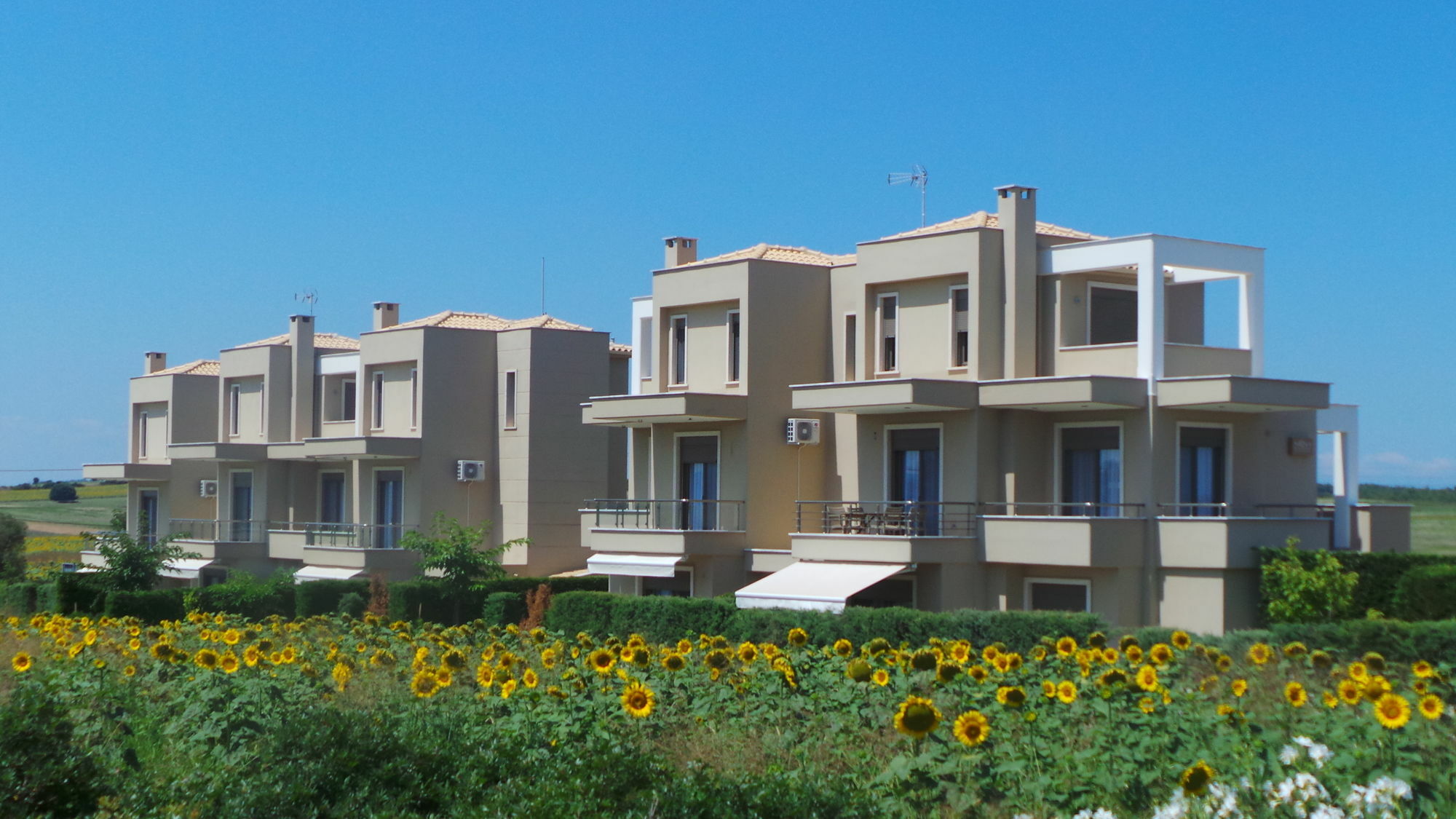 Niovi Boutique Apartments Afytos Zewnętrze zdjęcie